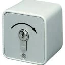 WTS - Standard - Schlüssel-Taster mit 1 Tast-Kontakt IMPULS  Alugehäuse, AP ,Wassergeschützt - Schutzart IP 54