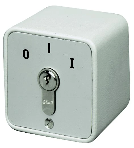 WTS - Standard - Schlüssel-Schalter mit 1 Rast-Kontakt, AP ,Wassergeschützt - Schutzart IP 54
