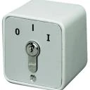WTS - Standard - Schlüssel-Schalter mit 1 Rast-Kontakt, AP ,Wassergeschützt - Schutzart IP 54