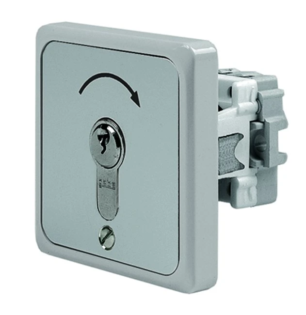 WTS - Einbau/Krallen - Schlüsseltaster mit 1 Tast-Kontakt, 1-polig IMPULS, UP ,Wassergeschützt - Schutzart IP 54